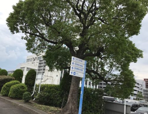 名古屋港水族館に近い駐車場は？