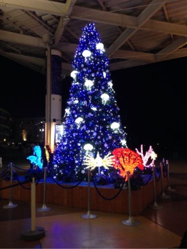 名古屋港水族館のクリスマスは混雑する？営業時間は？花火についても詳しくご紹介！