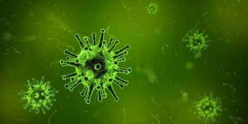 2017年版インフルエンザの流行型は？