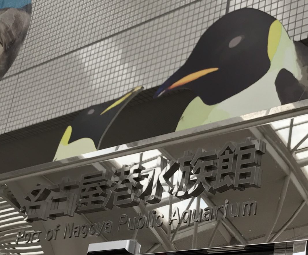 名古屋港水族館のペンギンは？散歩って？記念写真のサービスとはどんなもの？